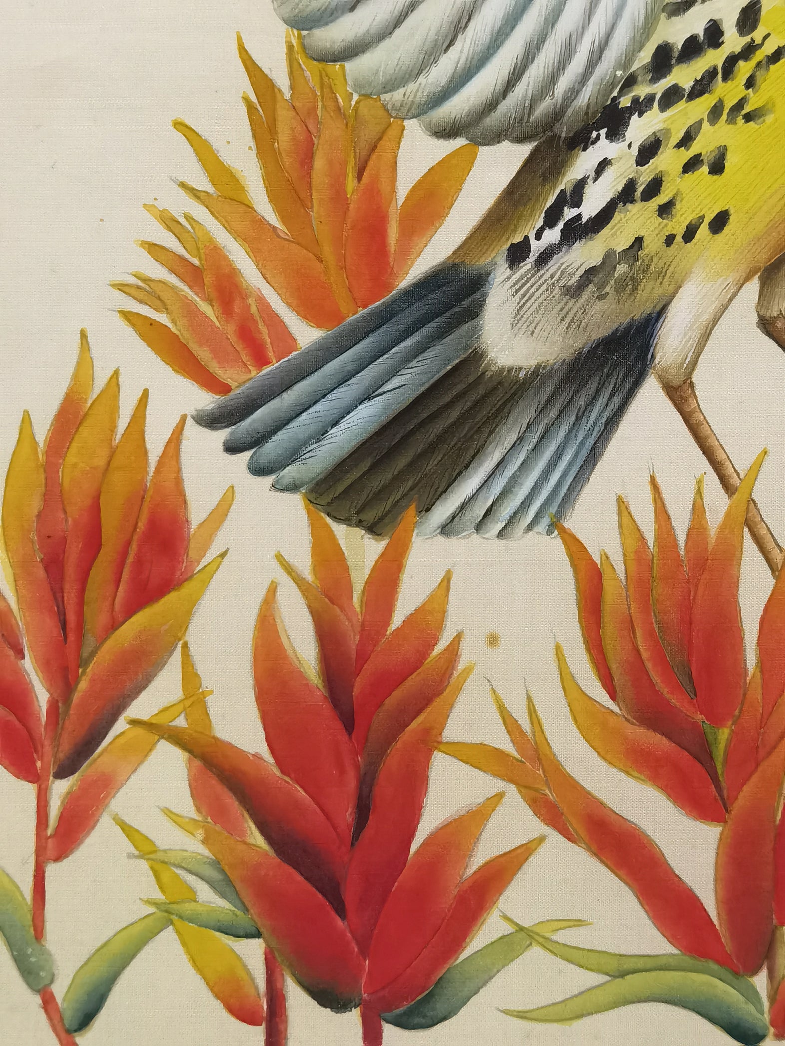 Western Meadowlark State Bird Handmade Art Printing Wyoming Indian Paintbrush with Wood Frame