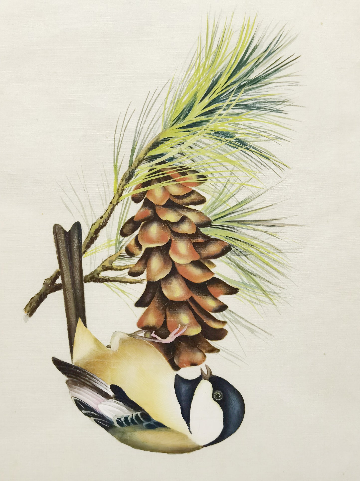 Chickadee State Bird Handmade Art Printing Maine WhitePineCone&Tassel with Wood Frame