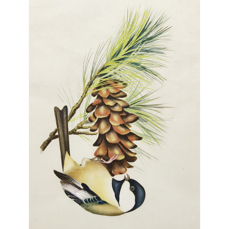 Maine Chickadee Hand-painted Art Print - Premium MATT Paper, Natural Wood Frame, Wall & Tabletop Décor, Multiple Sizes & Colors