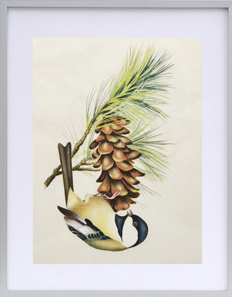 Chickadee State Bird Handmade Art Printing Maine WhitePineCone&Tassel with Wood Frame