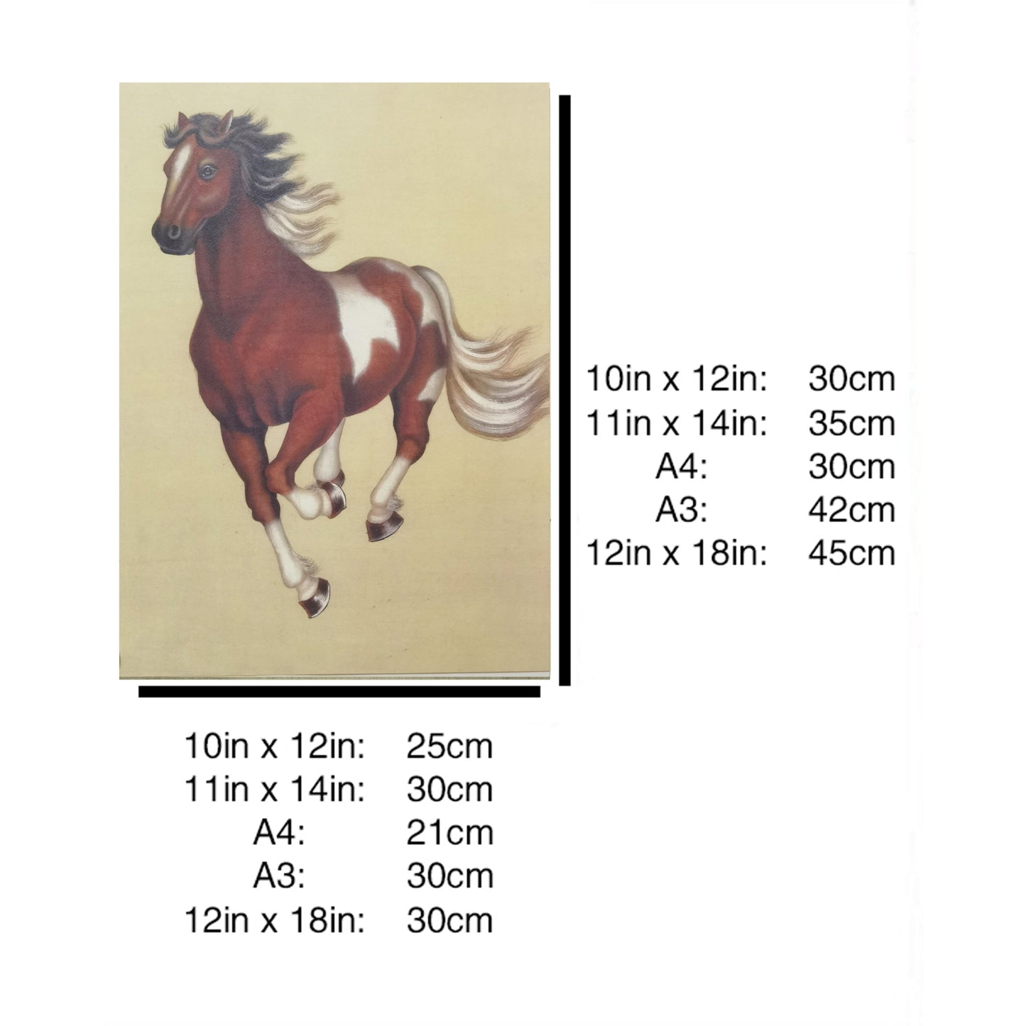 Hand-painted Clydesdale Horse Artwork – Fine Brush Technique, Premium MATT Paper, Natural Wood Frame, Multiple Sizes & Colors
