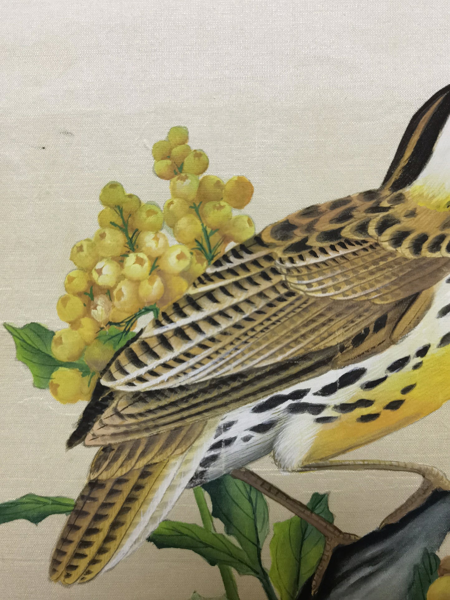 Western Meadowlark State Bird Handmade Art Printing Oregon Grape with Wood Frame
