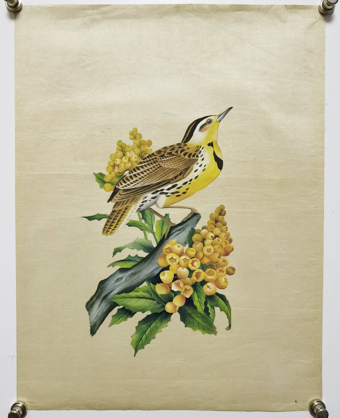 Western Meadowlark State Bird Handmade Art Printing Oregon Grape with Wood Frame