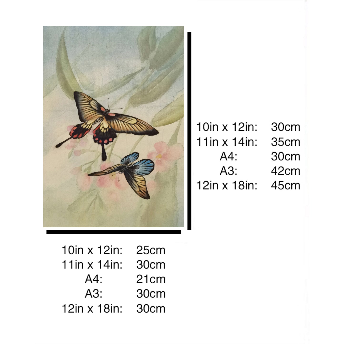 Hand-painted Swallowtail Butterfly Artwork – Fine Brush Technique, Premium MATT Paper, Natural Wood Frame, Multiple Sizes & Colors