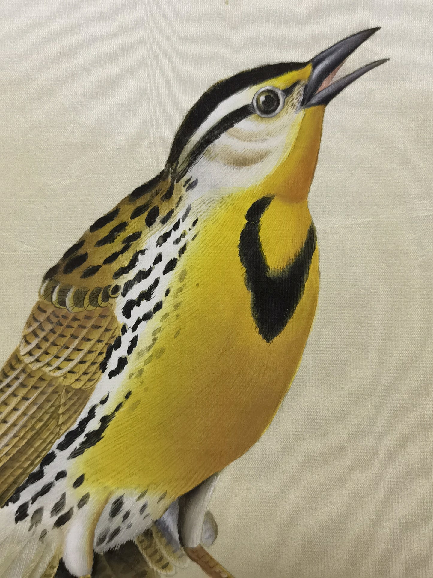 Western Meadowlark State Bird Handmade Art Printing Montana Bitterroot with Wood Frame