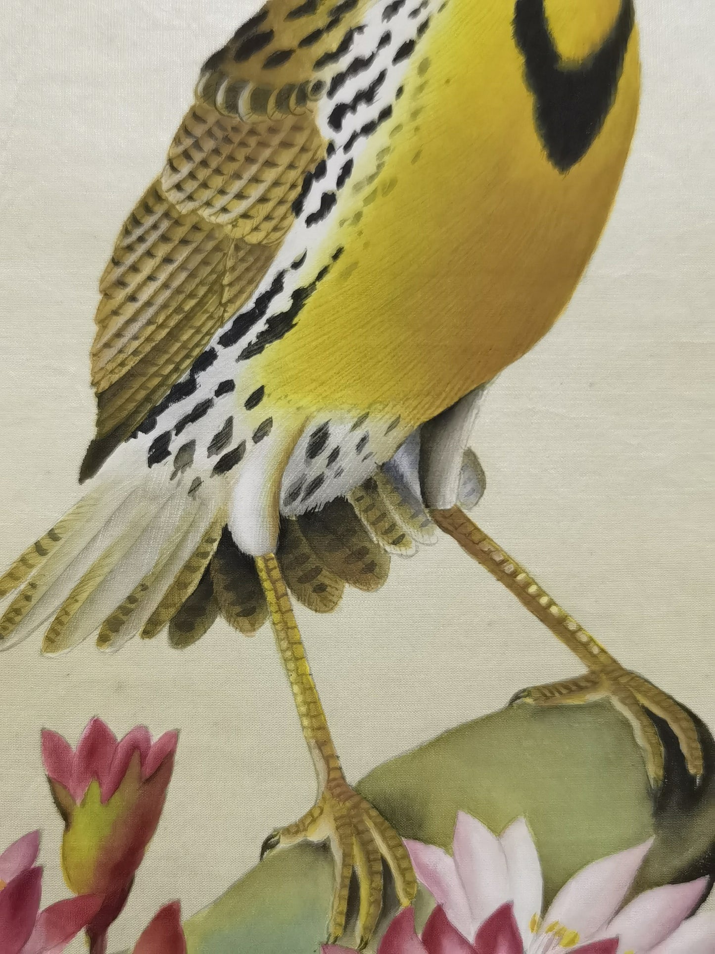 Western Meadowlark State Bird Handmade Art Printing Montana Bitterroot with Wood Frame