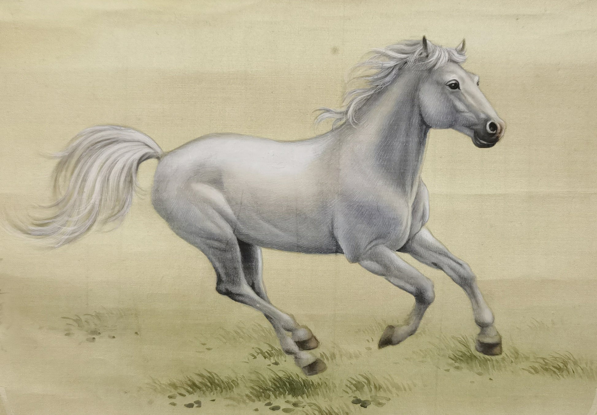 Pale Horse Perception Handmade Art Printing Galloping Grassland Steed Animal Robust with Wood Frame