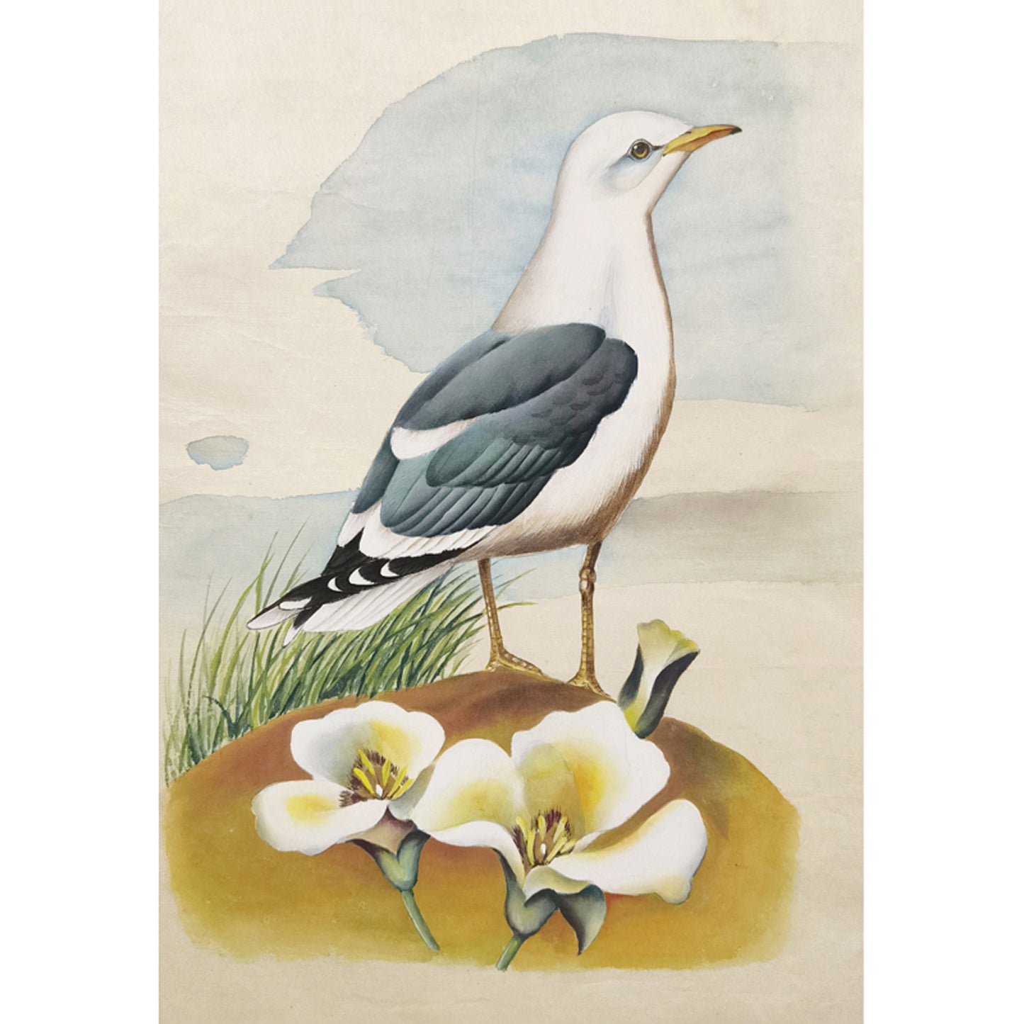 Utah California Gull Hand-painted Art Print - Premium MATT Paper, Natural Wood Frame, Wall & Tabletop Décor, Multiple Sizes & Colors