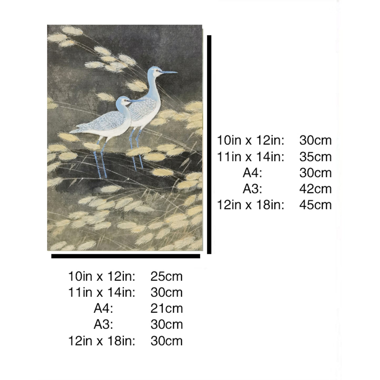 Hand-painted Blue Cormorant in Reed Bed Artwork – Watercolor Technique, Premium MATT Paper, Natural Wood Frame, Multiple Sizes & Colors