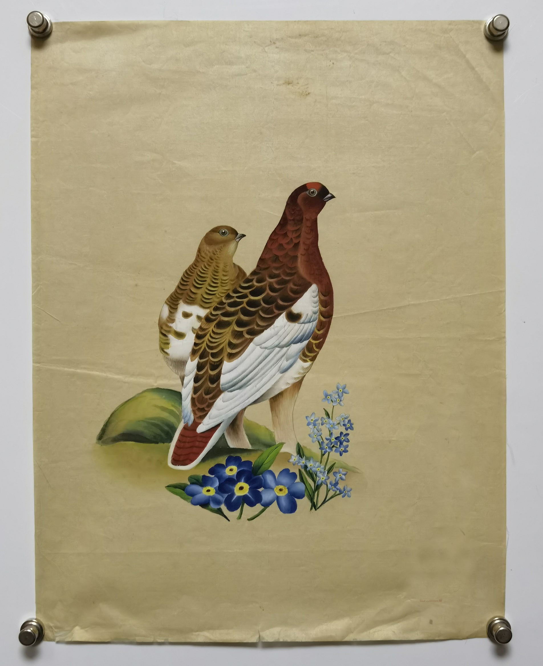 Willow Ptarmigan State Bird Handmade Art Printing Alaska Forget-me-not Flower with Wood Frame