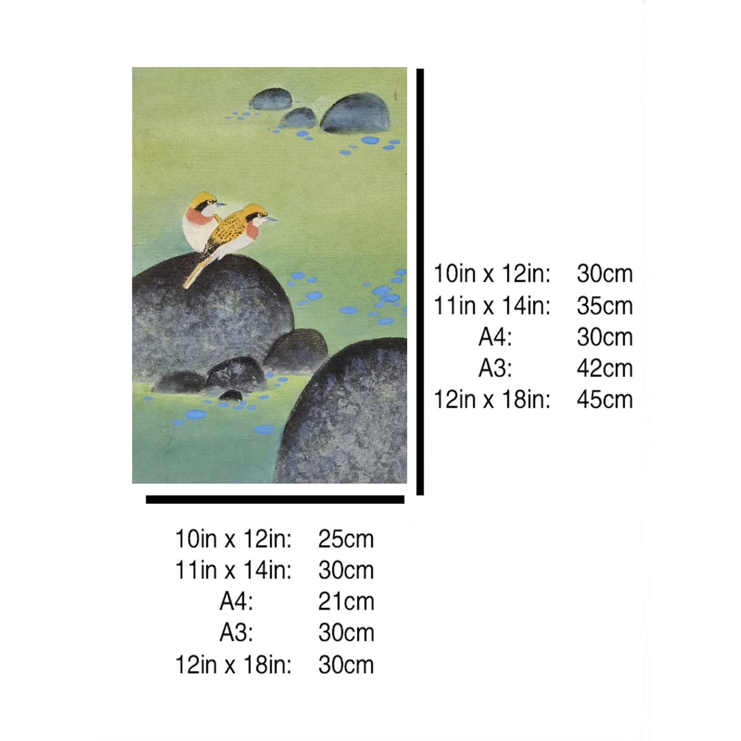 Hand-painted Yellow Warblers on Pond Rocks Artwork – Watercolor Technique, Premium MATT Paper, Natural Wood Frame, Multiple Sizes & Colors