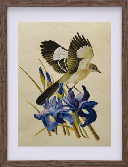 Mocking Bird State Bird Handmade Art Printing Tennessee Iris Germanica with Wood Frame