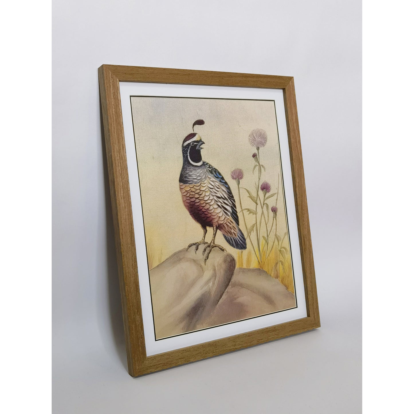 California Quail Hand-Painted Artwork | Fine Brush Technique | Premium Color Print | Natural Wood Frame | Custom Sizes & Colors Available