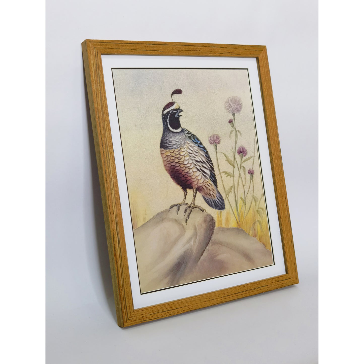 California Quail Hand-Painted Artwork | Fine Brush Technique | Premium Color Print | Natural Wood Frame | Custom Sizes & Colors Available