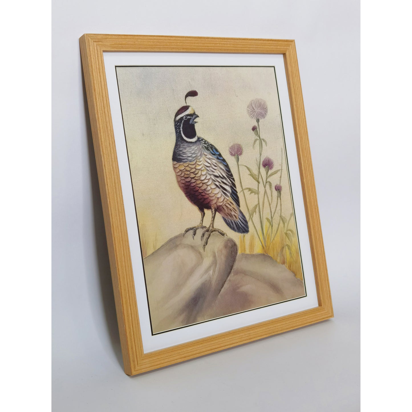 California Quail Hand-Painted Artwork | Fine Brush Technique | Premium Color Print | Natural Wood Frame | Custom Sizes & Colors Available