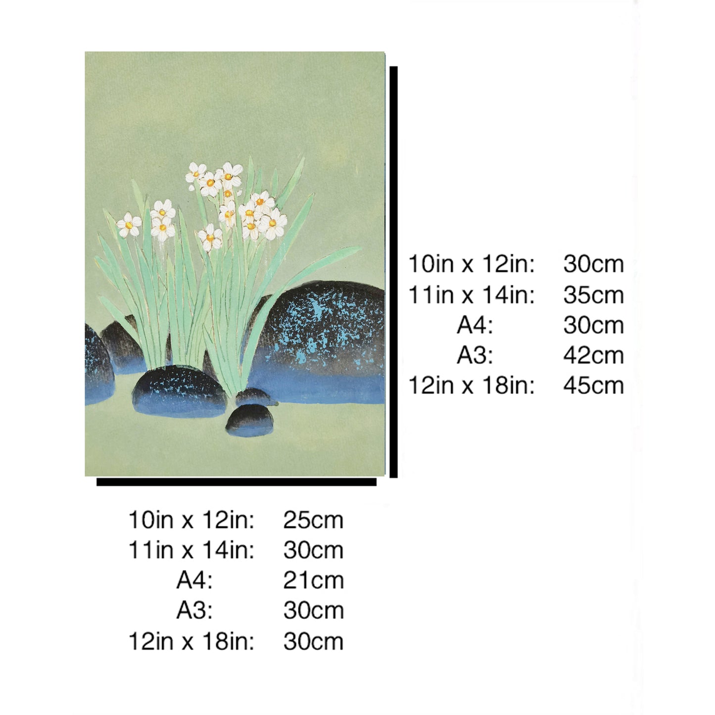 Hand-painted Narcissus Flowers Blooming in Pond Artwork – Watercolor Technique, Premium MATT Paper, Natural Wood Frame, Multiple Sizes & Colors