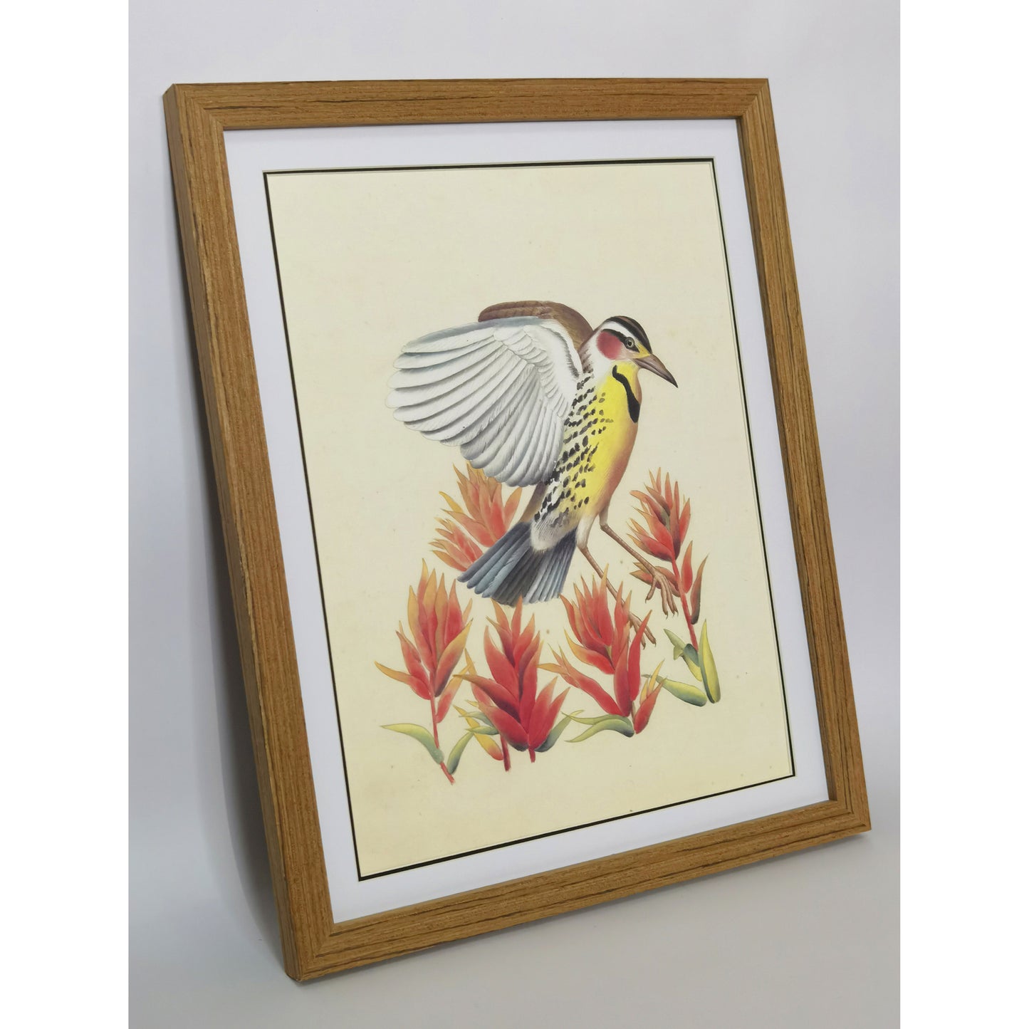 Wyoming Western Meadowlark Hand-painted Art Print - Premium MATT Paper, Natural Wood Frame, Wall & Tabletop Décor, Multiple Sizes & Colors