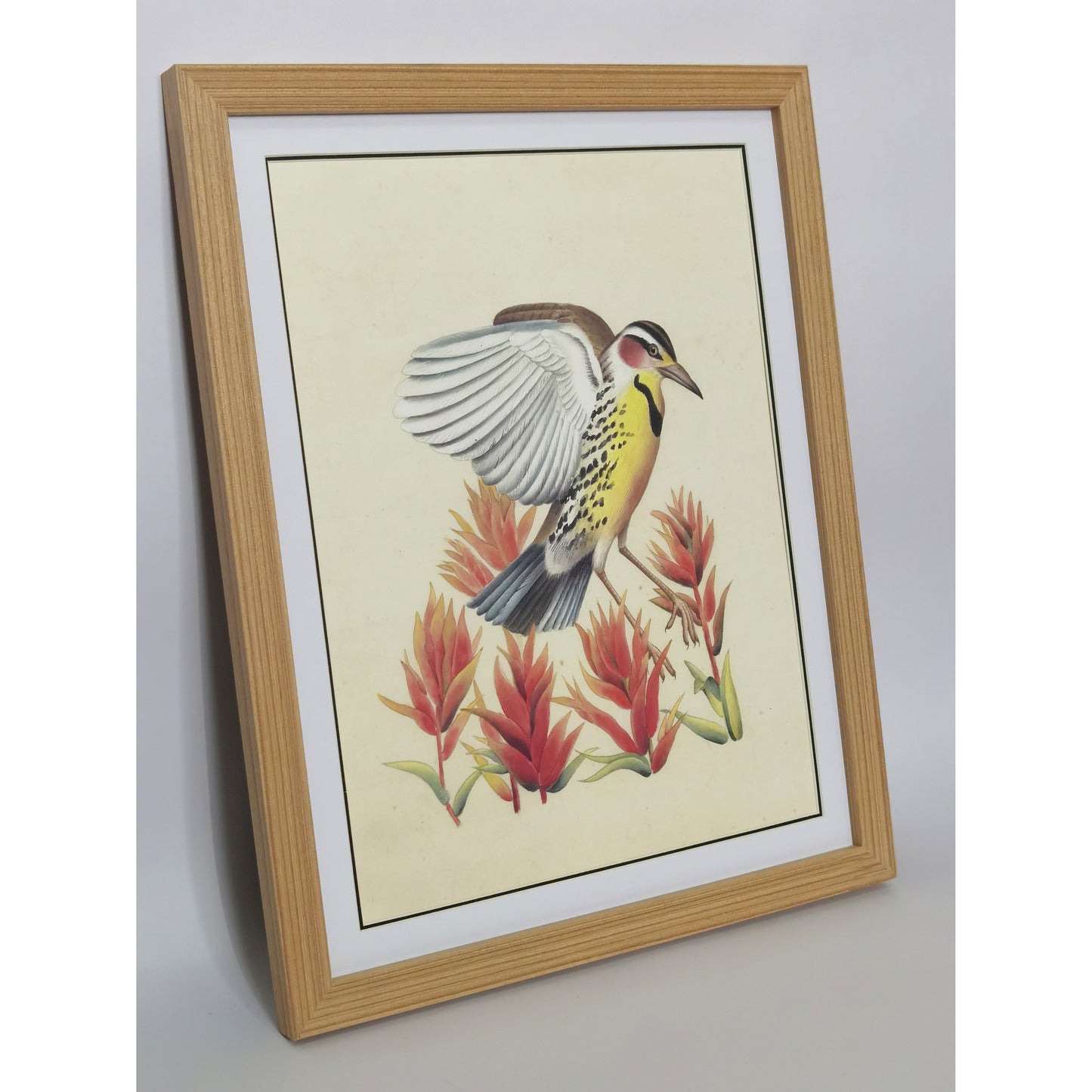 Wyoming Western Meadowlark Hand-painted Art Print - Premium MATT Paper, Natural Wood Frame, Wall & Tabletop Décor, Multiple Sizes & Colors