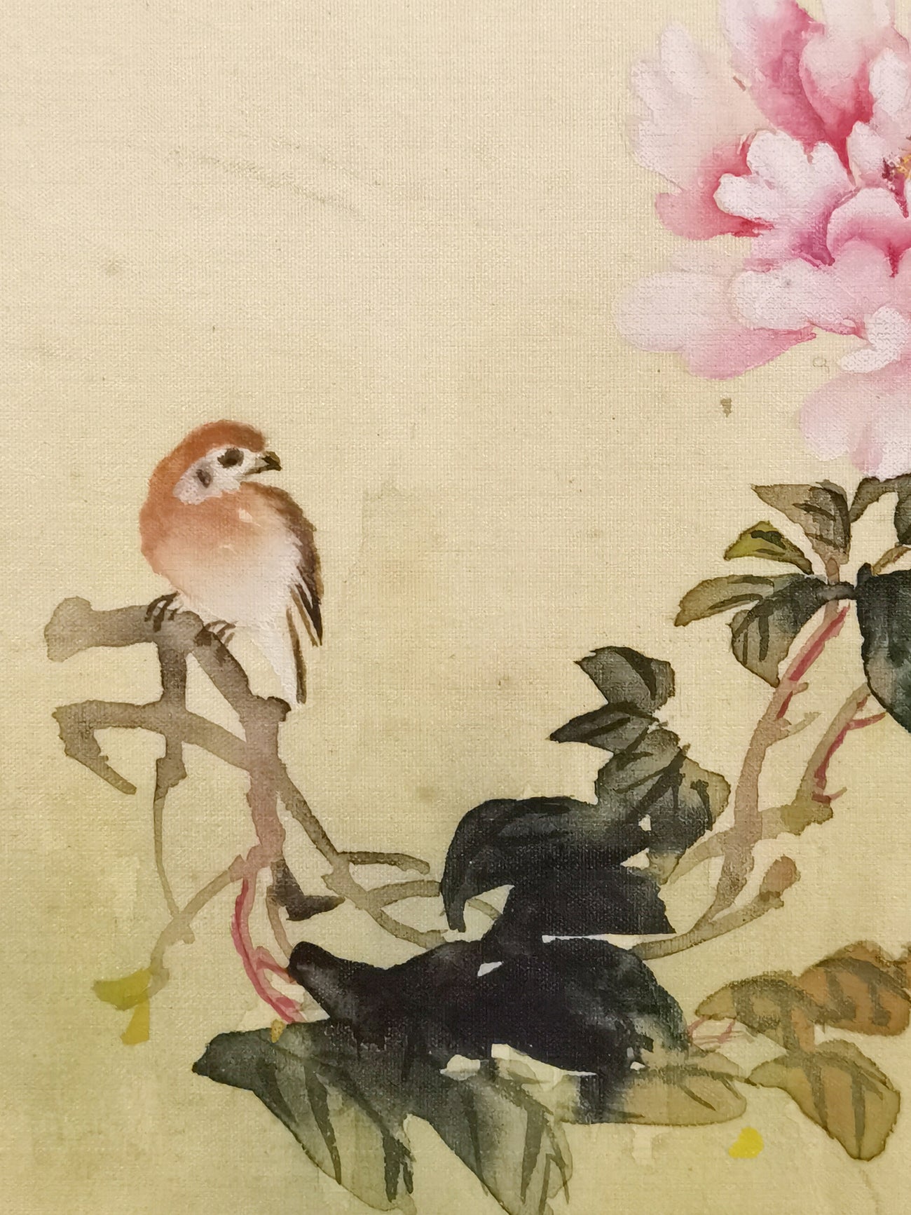 Shrike Bird Perception Handmade Art Printing Peony Flowers Watercolor with Wood Frame