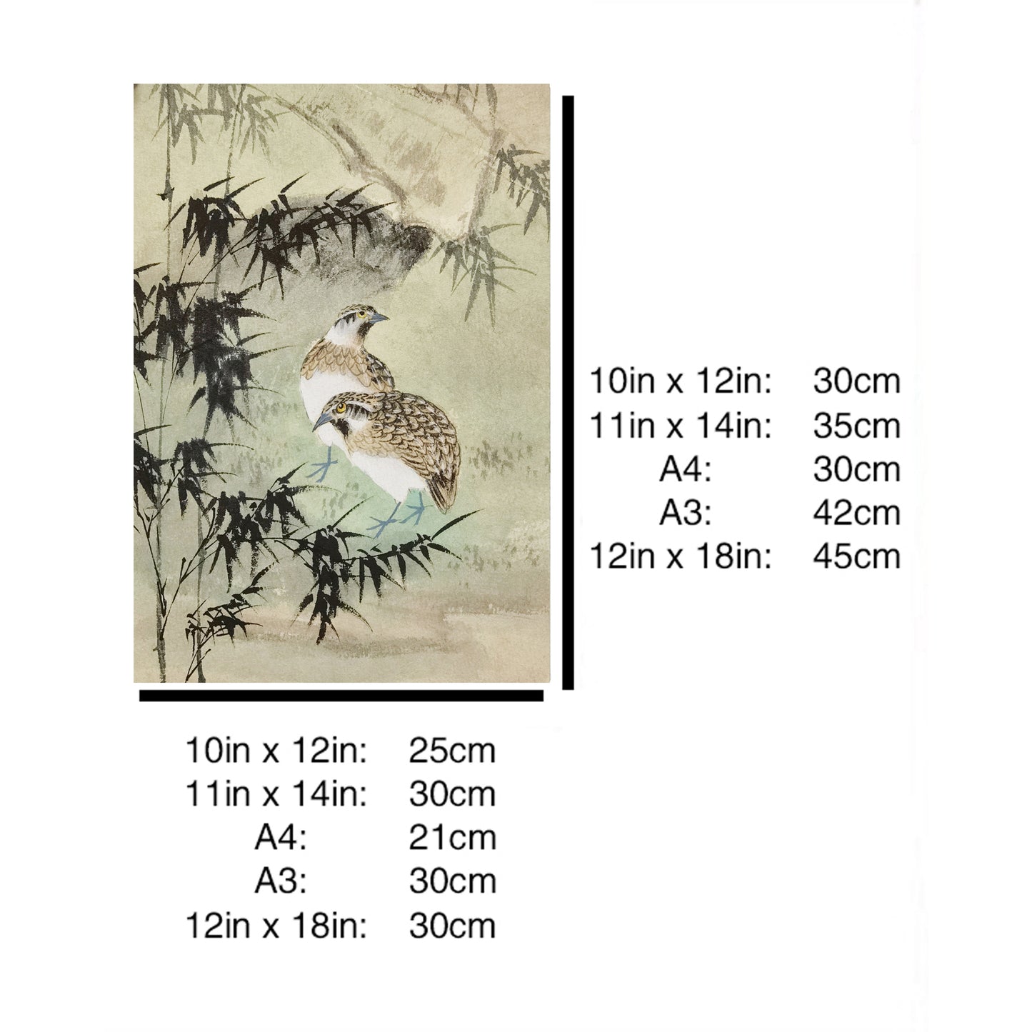 Hand-painted Quails in Bamboo Forest Artwork – Watercolor Technique, Premium MATT Paper, Natural Wood Frame, Multiple Sizes & Colors