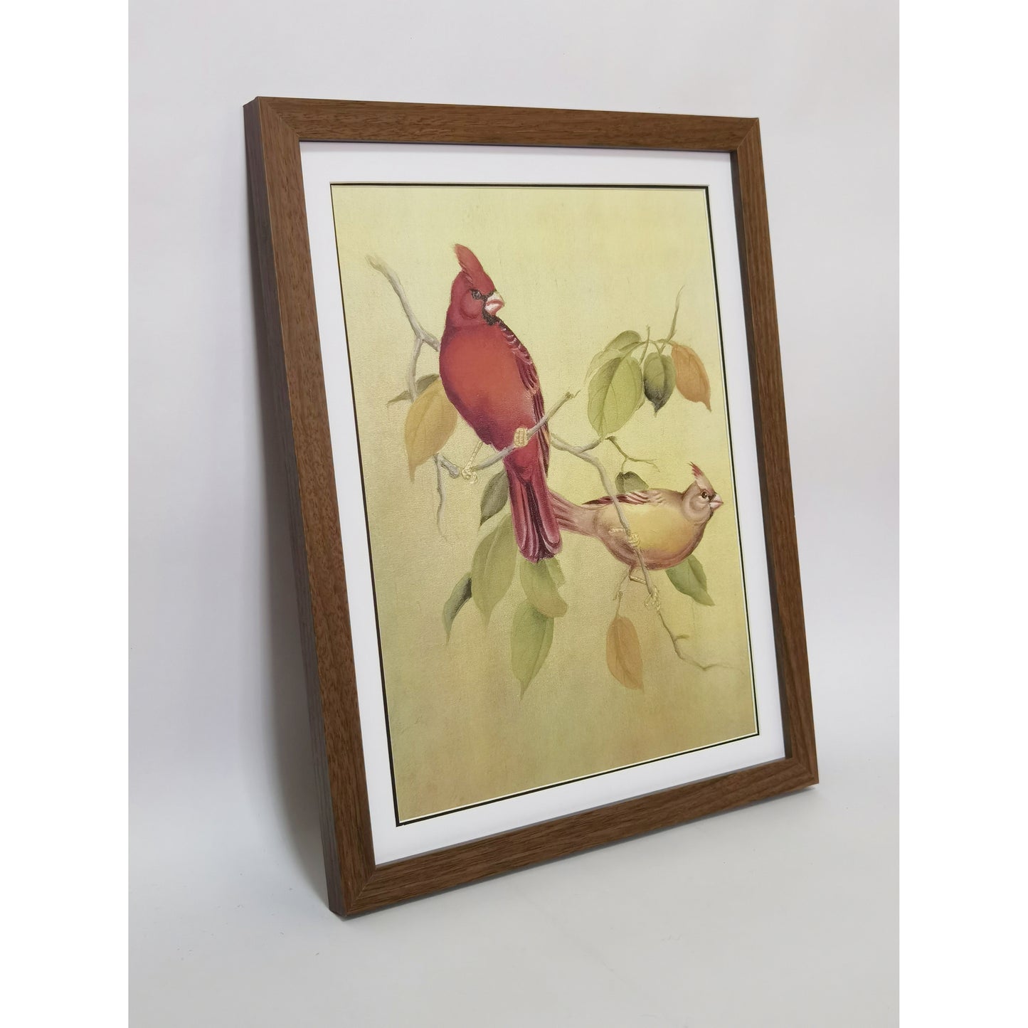 Pair of North American Cardinals Hand-painted Art Print - Premium MATT Paper, Natural Wood Frame, Wall & Tabletop Décor, Multiple Sizes & Colors