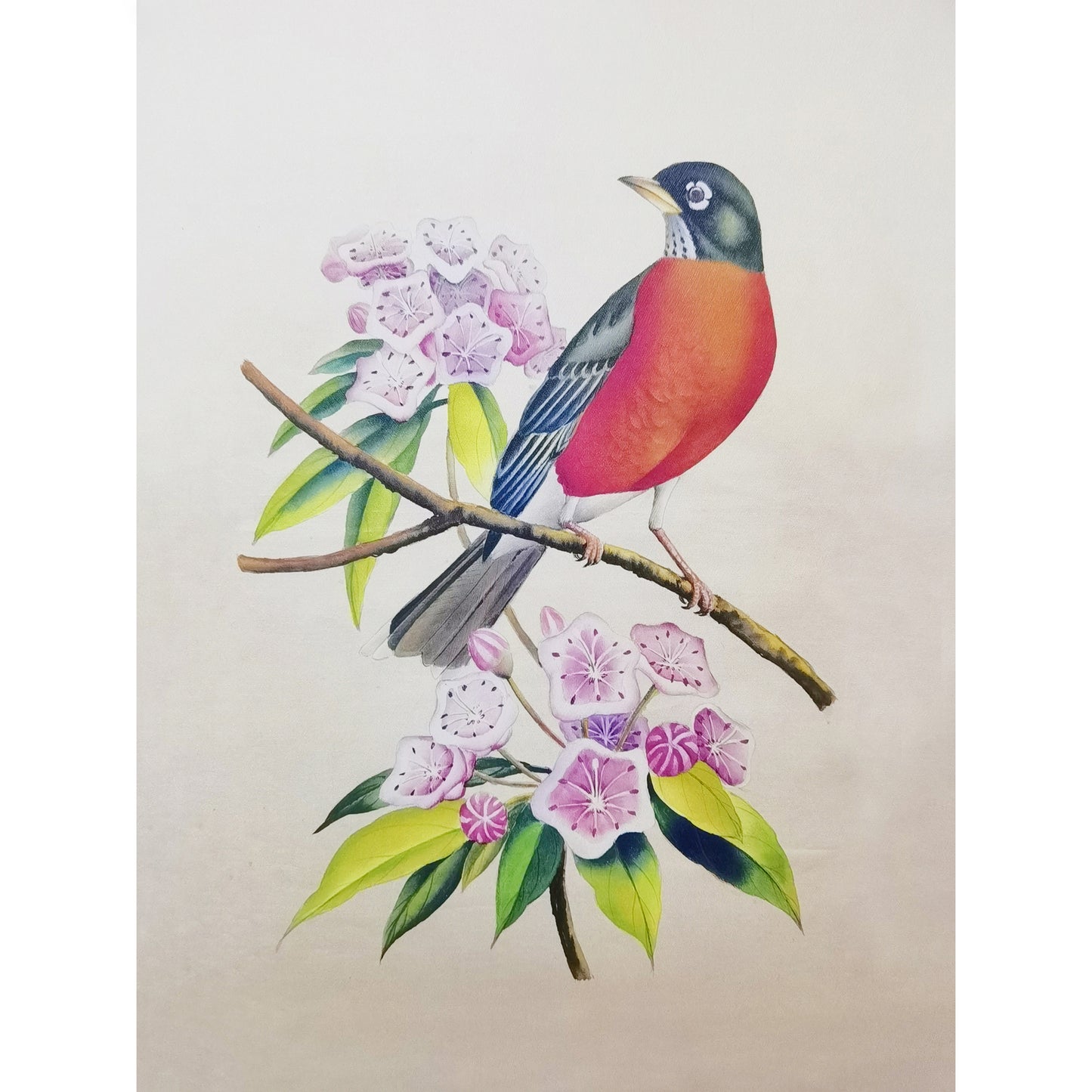 Connecticut American Robin Hand-painted Art Print - Premium MATT Paper, Natural Wood Frame, Multiple Sizes & Colors, Wall & Tabletop Décor
