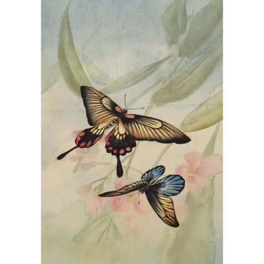 Hand-painted Swallowtail Butterfly Artwork – Fine Brush Technique, Premium MATT Paper, Natural Wood Frame, Multiple Sizes & Colors