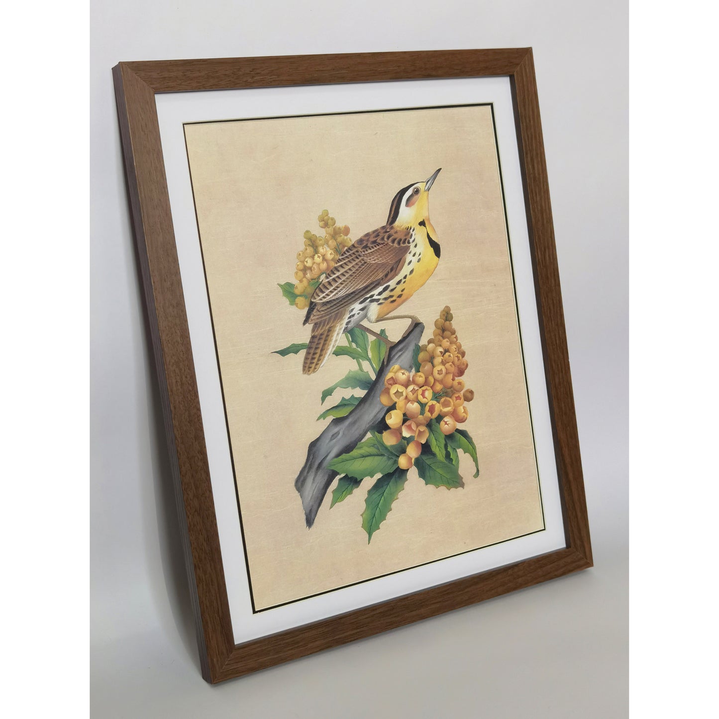 Oregon Western Meadowlark Home Decor Print | Hand-Painted, MATT Paper Print, Natural Wood Frame,Multiple Sizes & Colors