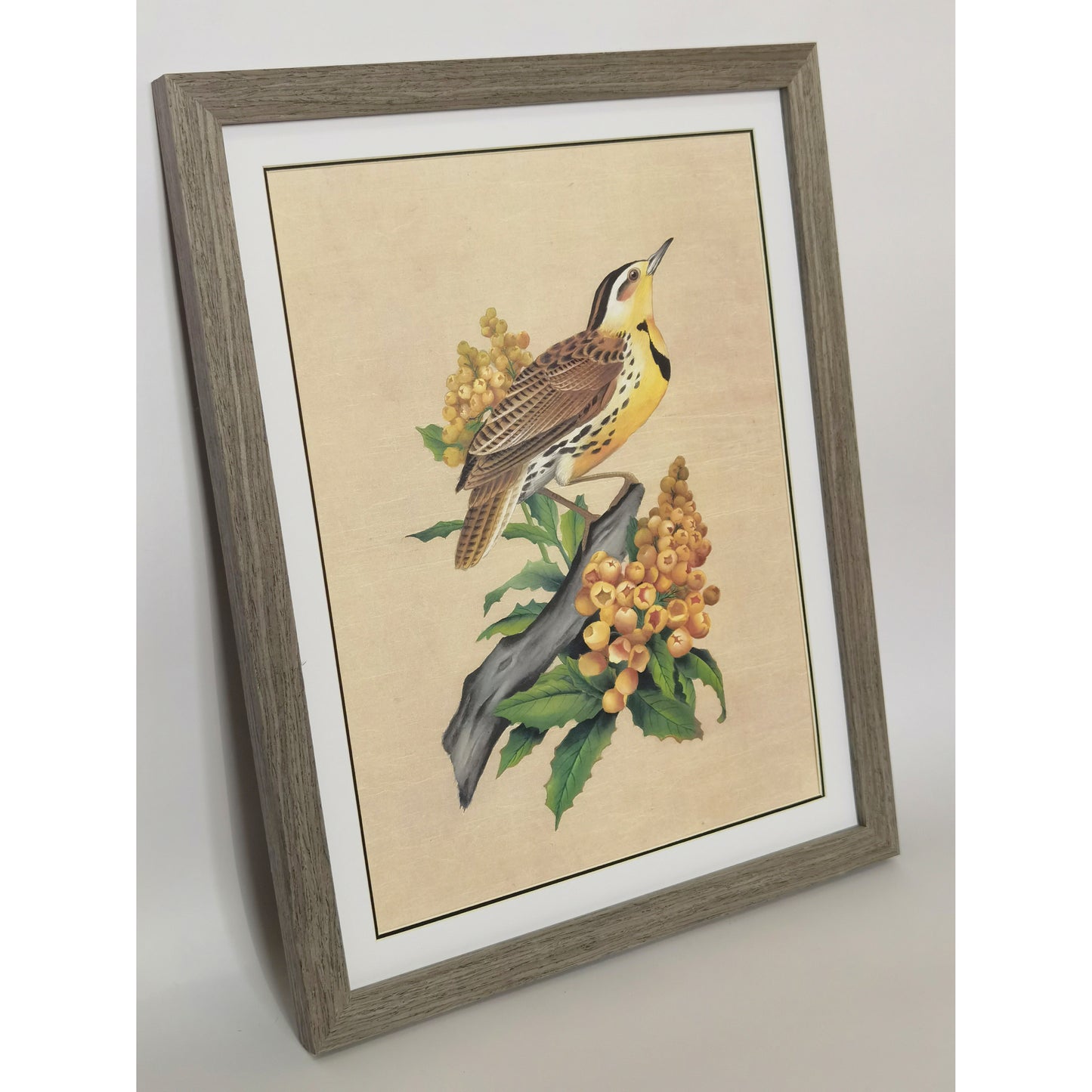 Oregon Western Meadowlark Home Decor Print | Hand-Painted, MATT Paper Print, Natural Wood Frame,Multiple Sizes & Colors