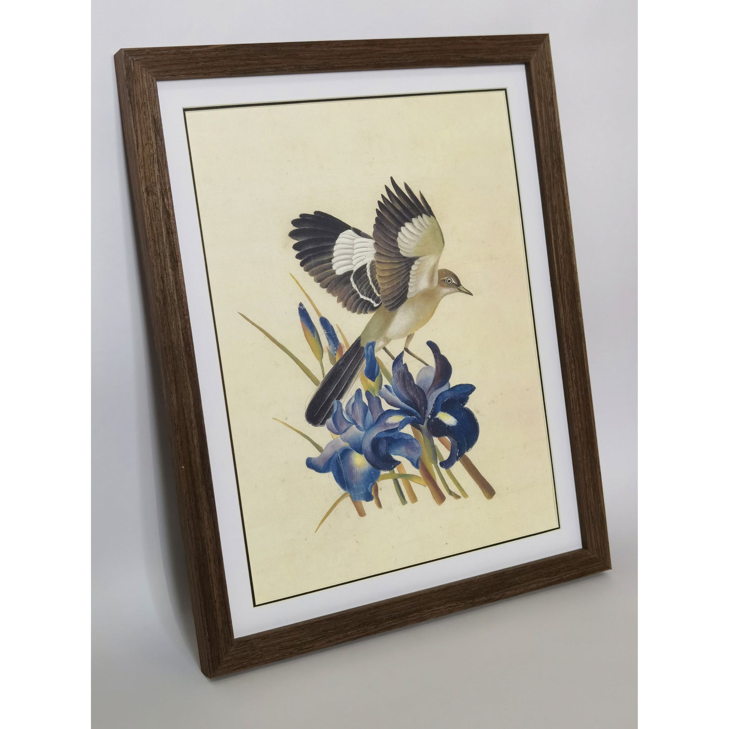 Tennessee Mockingbird Hand-painted Art Print - Premium MATT Paper, Natural Wood Frame, Wall & Tabletop Décor, Multiple Sizes & Colors