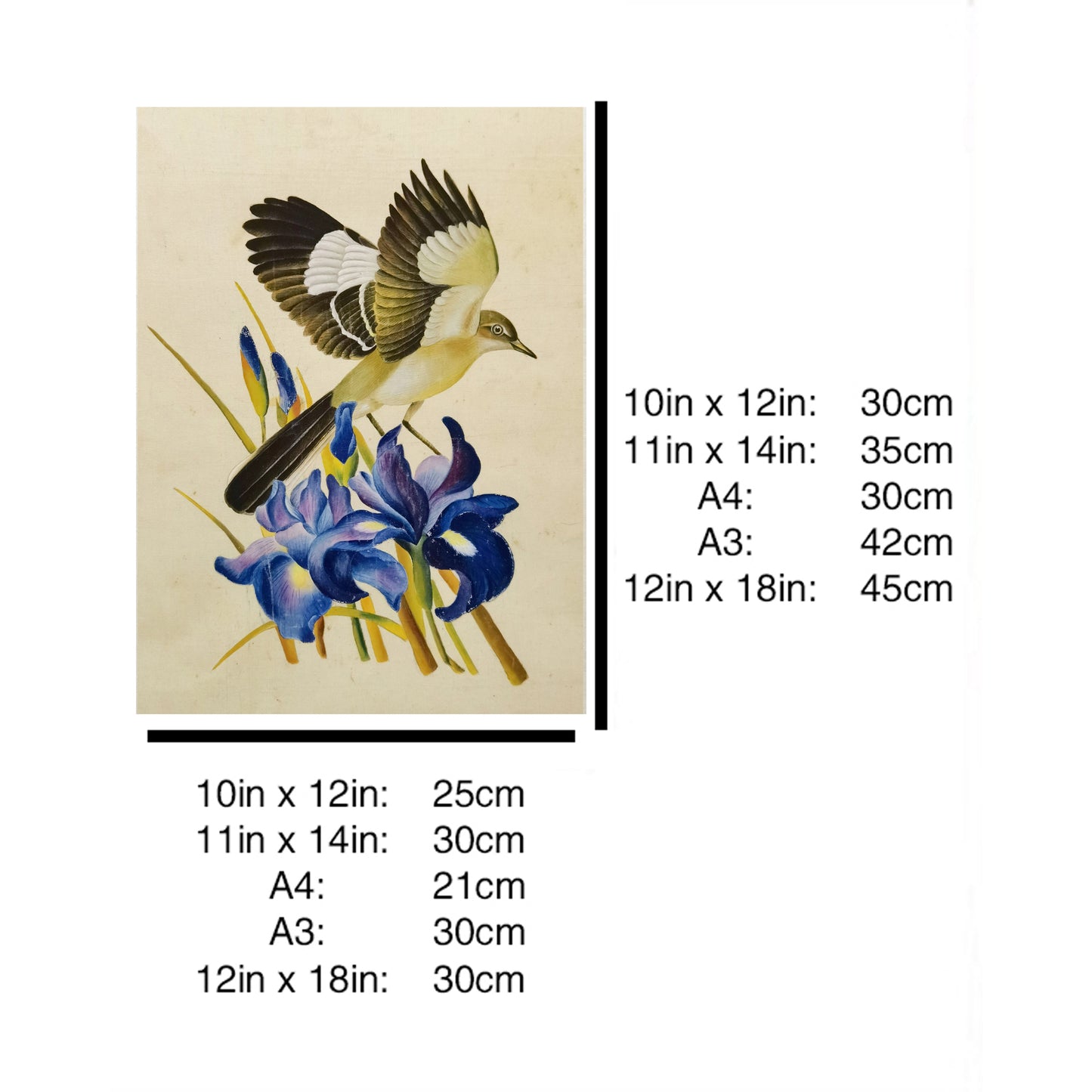 Tennessee Mockingbird Hand-painted Art Print - Premium MATT Paper, Natural Wood Frame, Wall & Tabletop Décor, Multiple Sizes & Colors