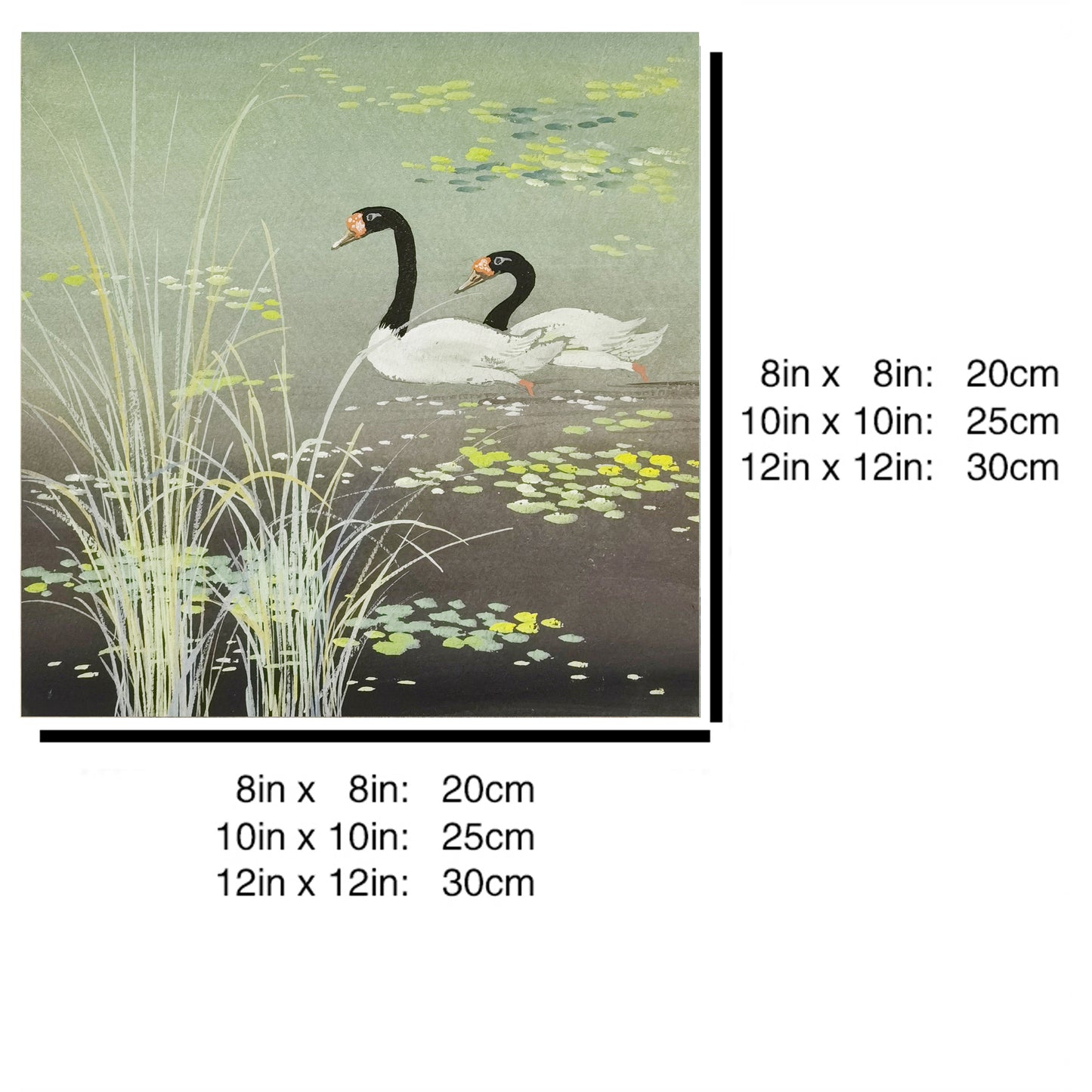 Hand-painted Black-necked Swans in Reed Bed Artwork – Watercolor Technique, Premium MATT Paper, Natural Wood Frame, Multiple Sizes & Colors