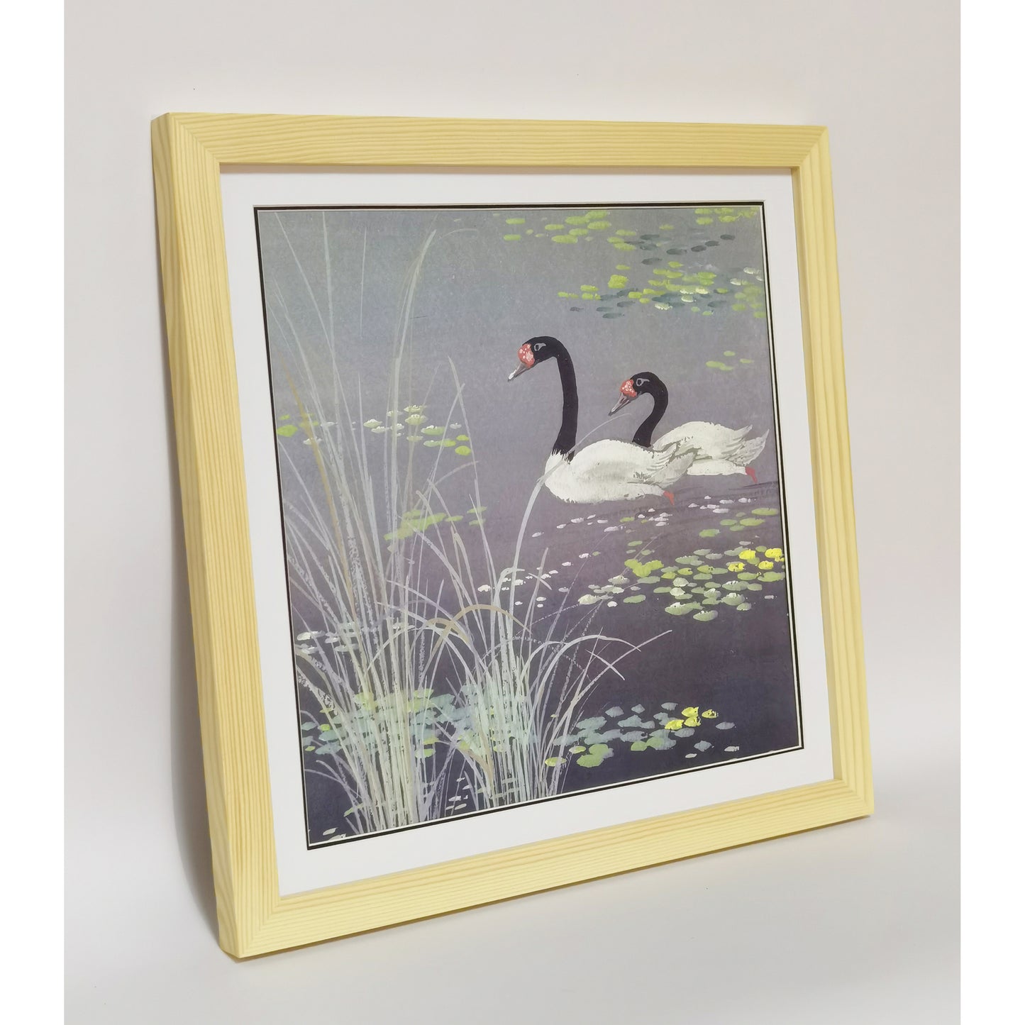 Hand-painted Black-necked Swans in Reed Bed Artwork – Watercolor Technique, Premium MATT Paper, Natural Wood Frame, Multiple Sizes & Colors