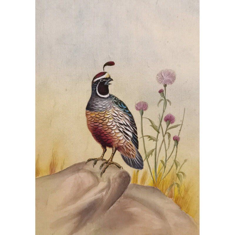 California Quail Hand-Painted Artwork | Fine Brush Technique | Premium Color Print | Natural Wood Frame | Custom Sizes & Colors Available