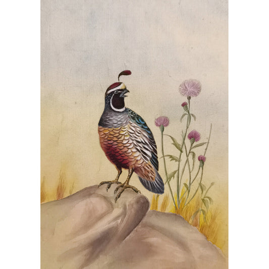 California Quail Hand-Painted Artwork | Fine Brush Technique | Premium Color Print | Natural Wood Frame | Custom Sizes & Colors Available