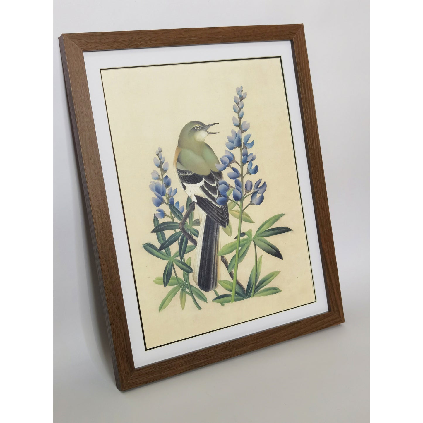 Texas Mockingbird Hand-painted Art Print - Premium MATT Paper, Natural Wood Frame, Multiple Sizes & Colors, Wall & Tabletop Décor