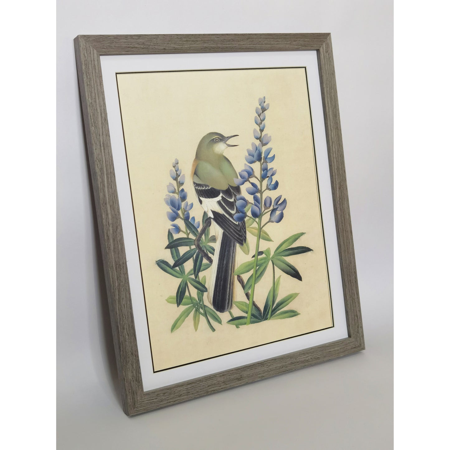 Texas Mockingbird Hand-painted Art Print - Premium MATT Paper, Natural Wood Frame, Multiple Sizes & Colors, Wall & Tabletop Décor