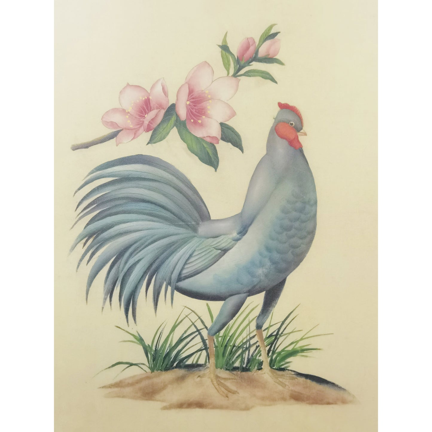 Delaware Blue Hen Hand-painted Art Print - Premium MATT Paper, Natural Wood Frame, Wall & Tabletop Décor, Multiple Sizes & Colors