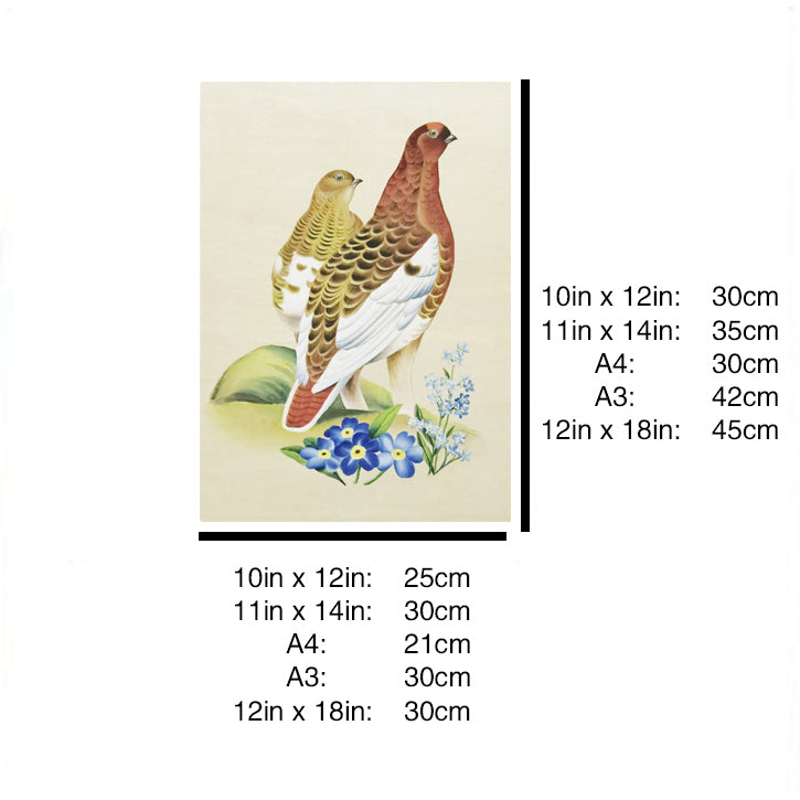Alaska Willow Ptarmigan Hand-painted Art Print - Premium MATT Paper, Natural Wood Frame, Wall & Tabletop Décor, Multiple Sizes & Colors