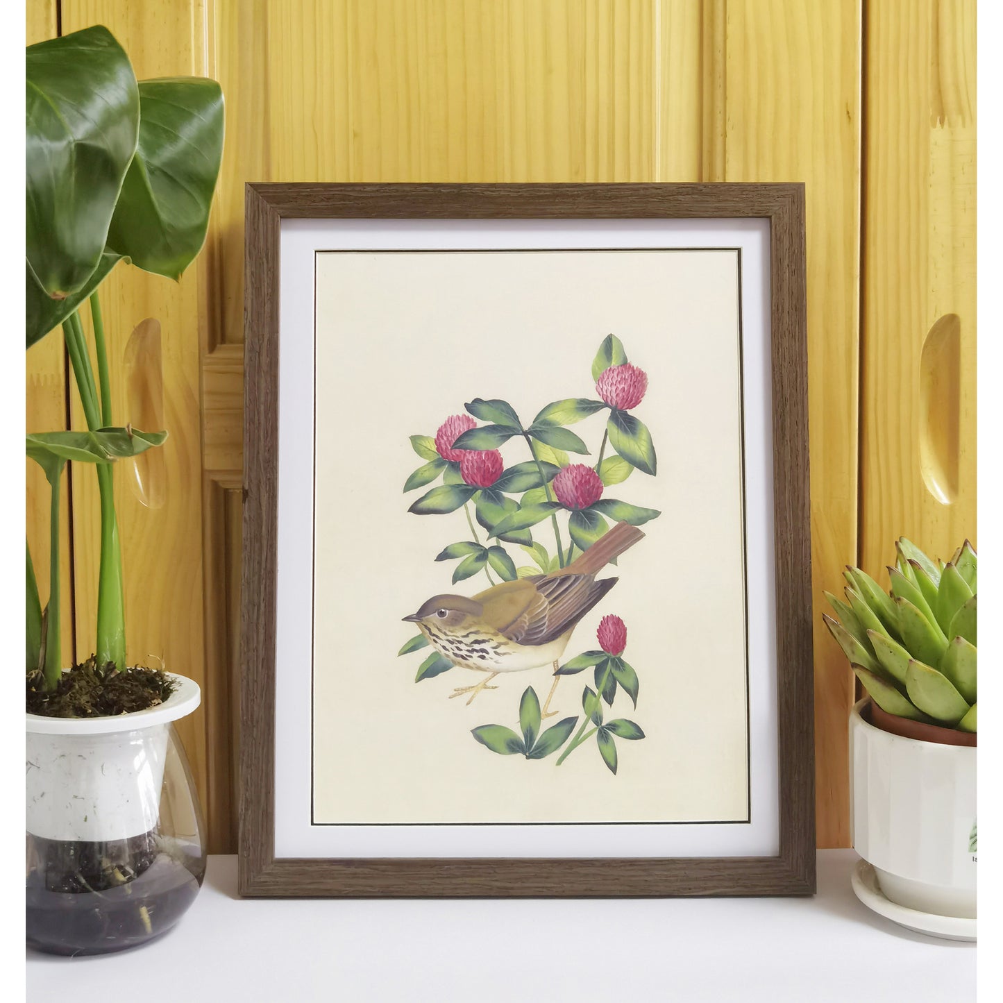 Vermont Hermit Thrush Hand-painted Art Print - Premium MATT Paper, Natural Wood Frame, Wall & Tabletop Décor, Multiple Sizes & Colors