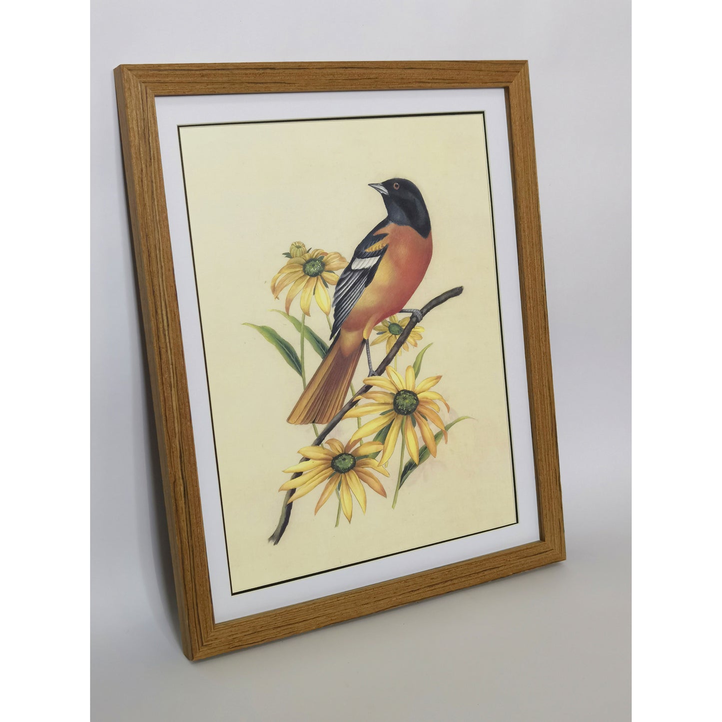 Maryland Baltimore Oriole Hand-painted Art Print - Premium MATT Paper, Natural Wood Frame, Multiple Sizes & Colors, Wall & Tabletop Décor