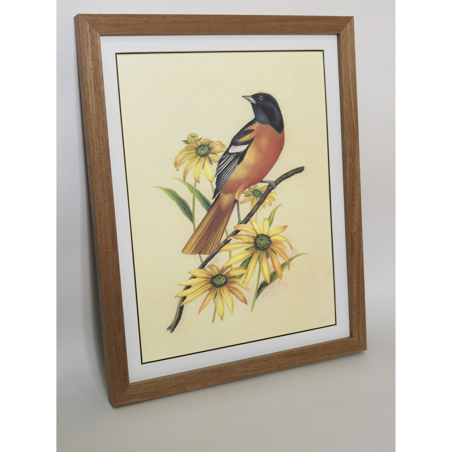 Maryland Baltimore Oriole Hand-painted Art Print - Premium MATT Paper, Natural Wood Frame, Multiple Sizes & Colors, Wall & Tabletop Décor