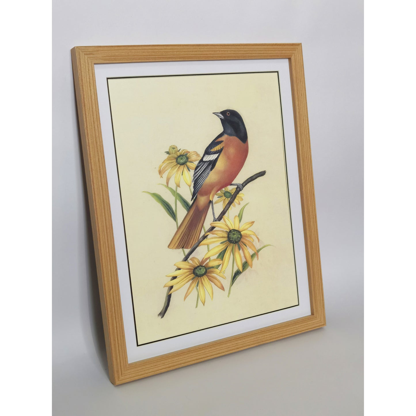 Maryland Baltimore Oriole Hand-painted Art Print - Premium MATT Paper, Natural Wood Frame, Multiple Sizes & Colors, Wall & Tabletop Décor