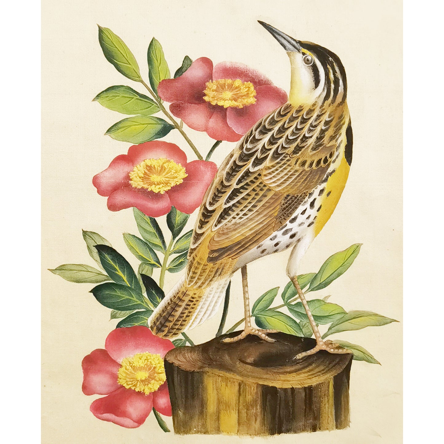 North Dakota Western Meadowlark Hand-painted Art Print - Premium MATT Paper, Natural Wood Frame, Multiple Sizes & Colors, Wall & Tabletop Décor