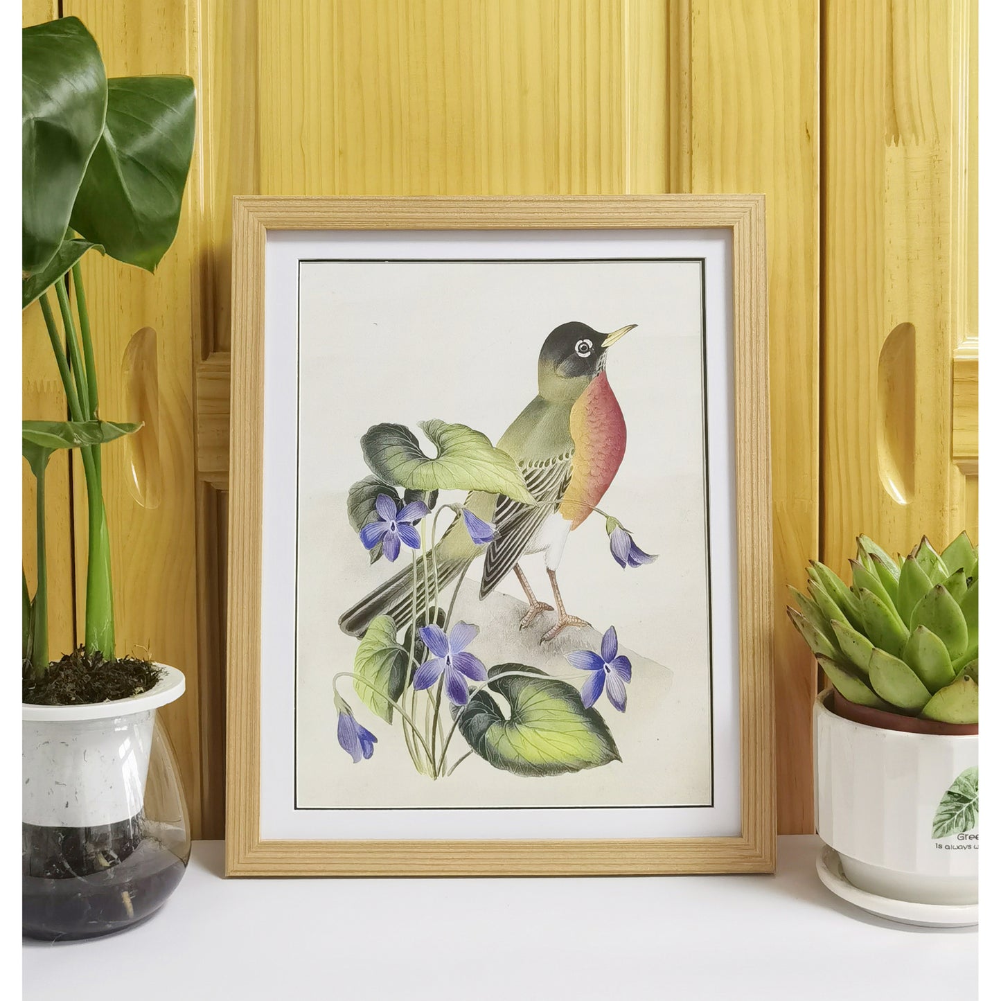 Wisconsin American Robin Hand-painted Art Print - Premium MATT Paper, Natural Wood Frame, Multiple Sizes & Colors, Wall & Tabletop Décor