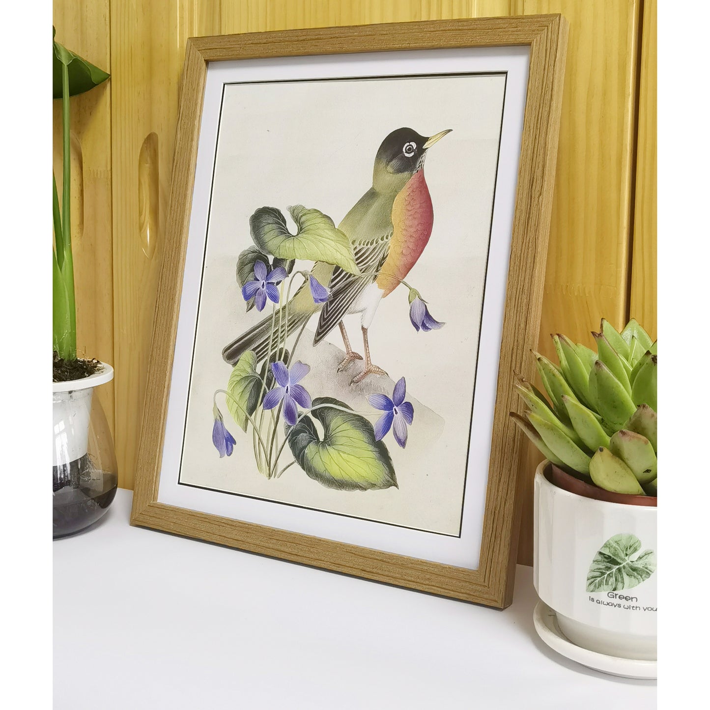 Wisconsin American Robin Hand-painted Art Print - Premium MATT Paper, Natural Wood Frame, Multiple Sizes & Colors, Wall & Tabletop Décor