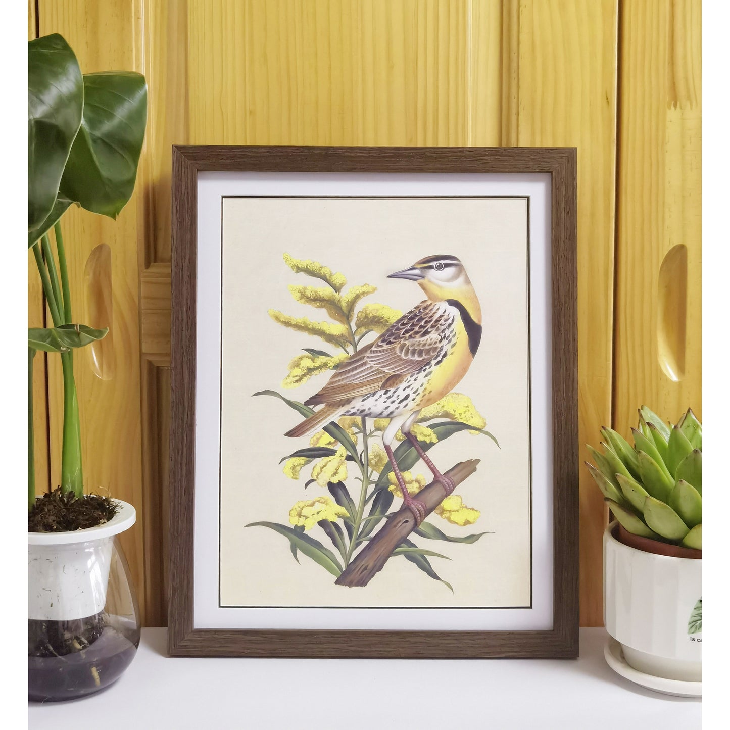 Nebraska Western Meadowlark Hand-painted Art Print - Premium MATT Paper, Natural Wood Frame, Wall & Tabletop Décor, Multiple Sizes & Colors