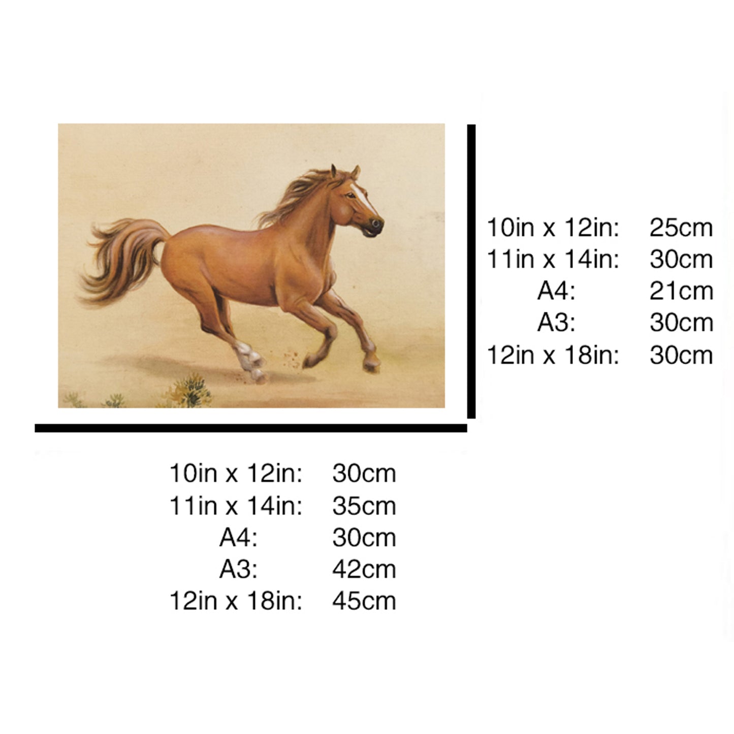Hand-painted Brown Horse Artwork – Fine Brush Technique, Premium MATT Paper, Natural Wood Frame, Multiple Sizes & Colors