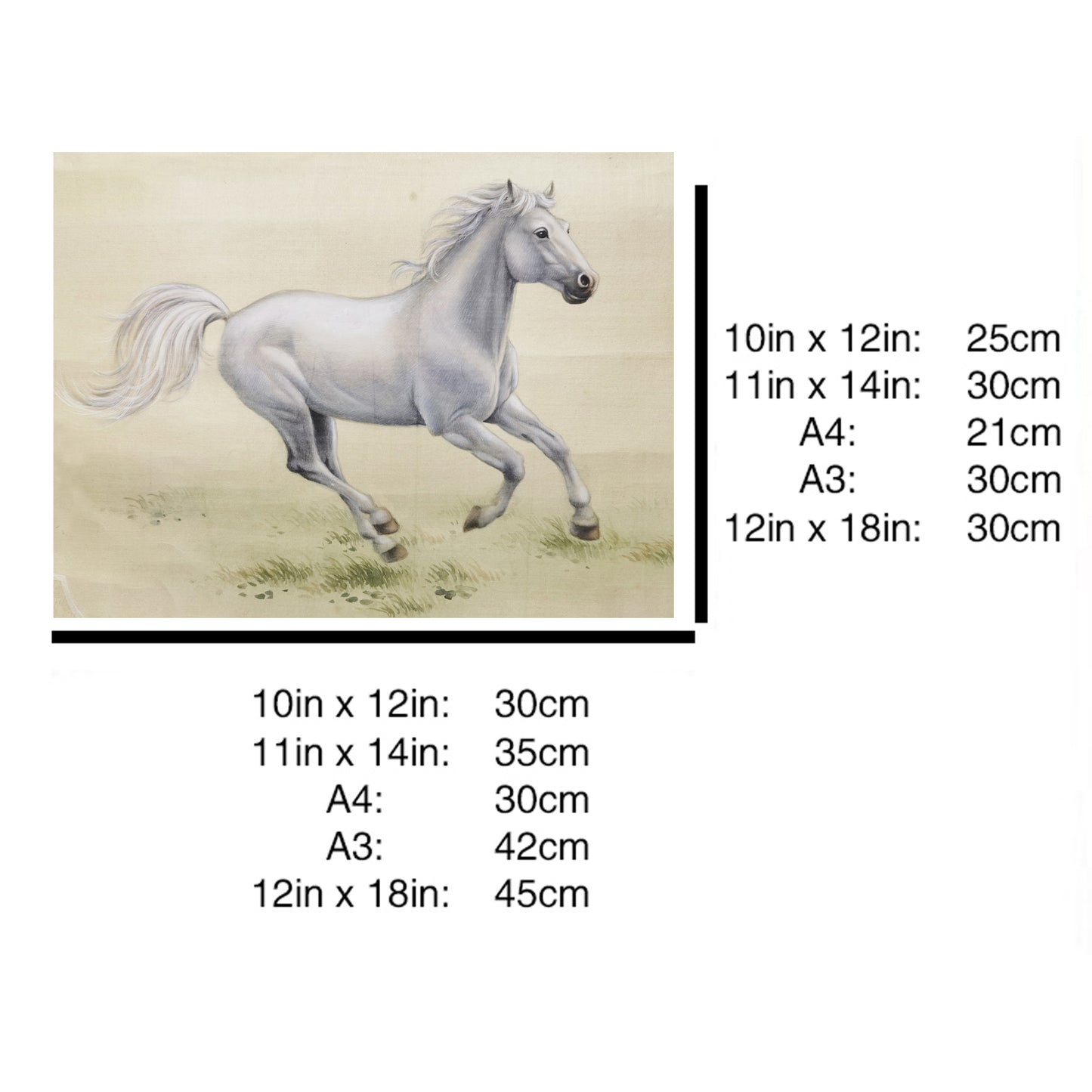 Hand-painted White Stallion Artwork – Fine Brush Technique, Premium MATT Paper, Natural Wood Frame, Multiple Sizes & Colors