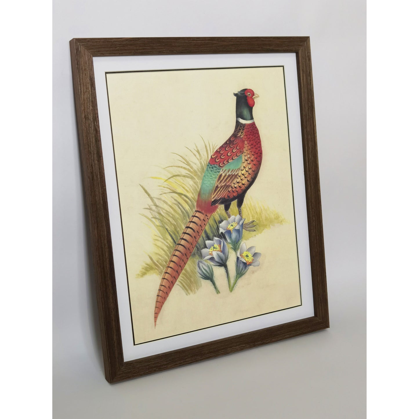 South Dakota Ring-necked Pheasant Hand-painted Art Print - Premium MATT Paper, Natural Wood Frame, Wall & Tabletop Décor, Multiple Sizes & Colors for Home, Office & Gifts
